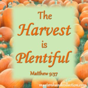  Harvest is Plentiful Matthew 9:37