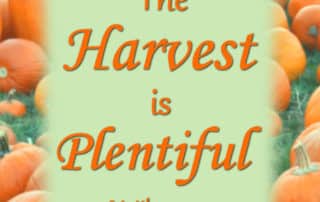 The Harvest is Plentiful Matthew 9:37