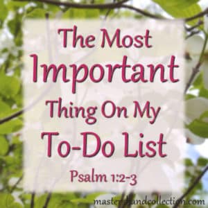 The Most Important Thing on My To-Do List Psalm 1:2-3
