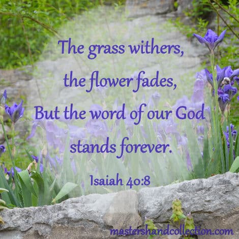 flower fades bible verse, grass withers flower fades