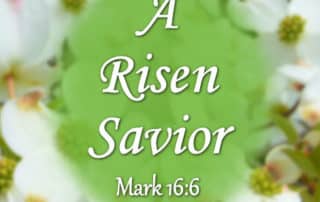 A Risen Savior Mark 16:6