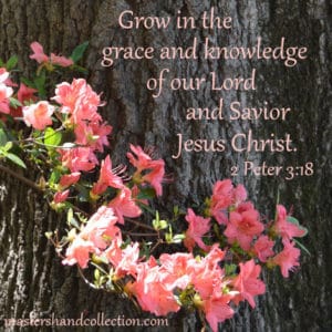 grow in grace, Lord and Savior, Jesus Christ, 2 Peter 3:18