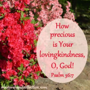 Psalm 36:7, precious is Your lovingkindness