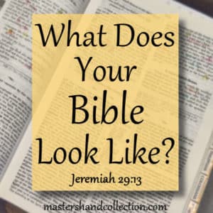 What Does Your Bible Look Like? Jeremiah 29:13