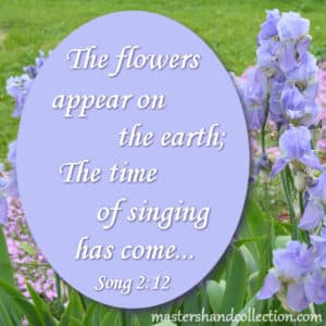 Bible verses about flowers blooming, Song of Solomon 2:12