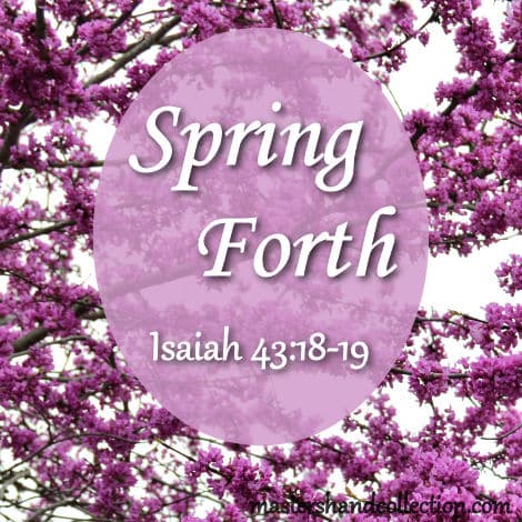 Spring Forth Isaiah 43:18-19