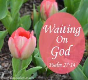 Waiting On God Psalm 27:14