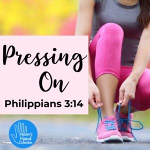 I Press On Toward the Goal Philippians 3:13-14