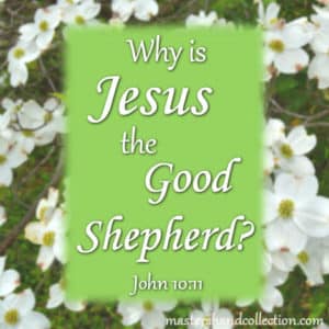Why is Jesus the Good Shepherd John 10:11