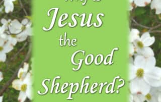 Why is Jesus the Good Shepherd John 10:11