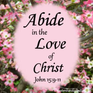 Abide in the Love of Christ John 15:9-11