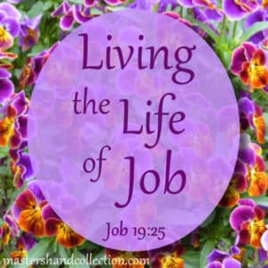 Living the Life of Job Job 19:25