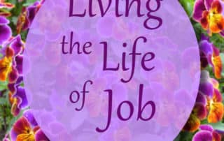Living the Life of Job Job 19:25