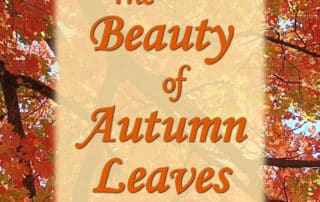 The Beauty of Autumn Leaves Galatians 6:9 Devotional