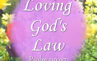 Loving God's Law Psalm 119:97