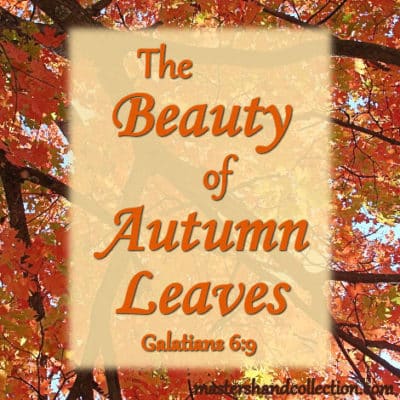 The Beauty of Autumn Leaves Galatians 6:9