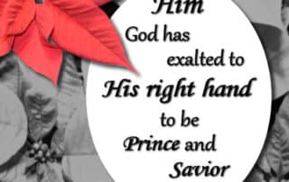 Prince and Savior Acts 5 31