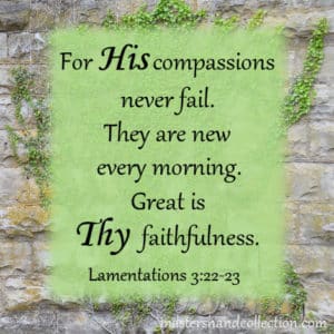 Great is Thy faithfulness. Lamentations 3:22-23