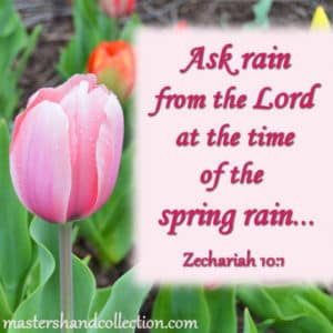 Spring Bible Verses, Ask rain from the Lord, Zechariah 10:1