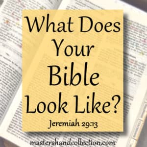 What Does Your Bible Look Like