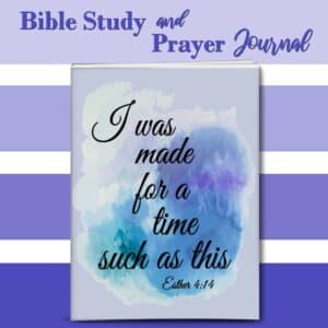 A Time Such As This Bible Study and Prayer Journal