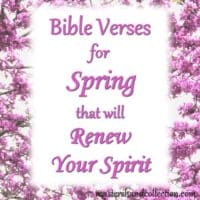 Bible Verses for Spring that will Renew Your Spirit - Master's Hand ...