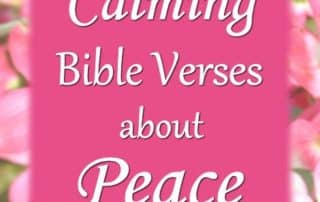 Calming Bible Verses about Peace