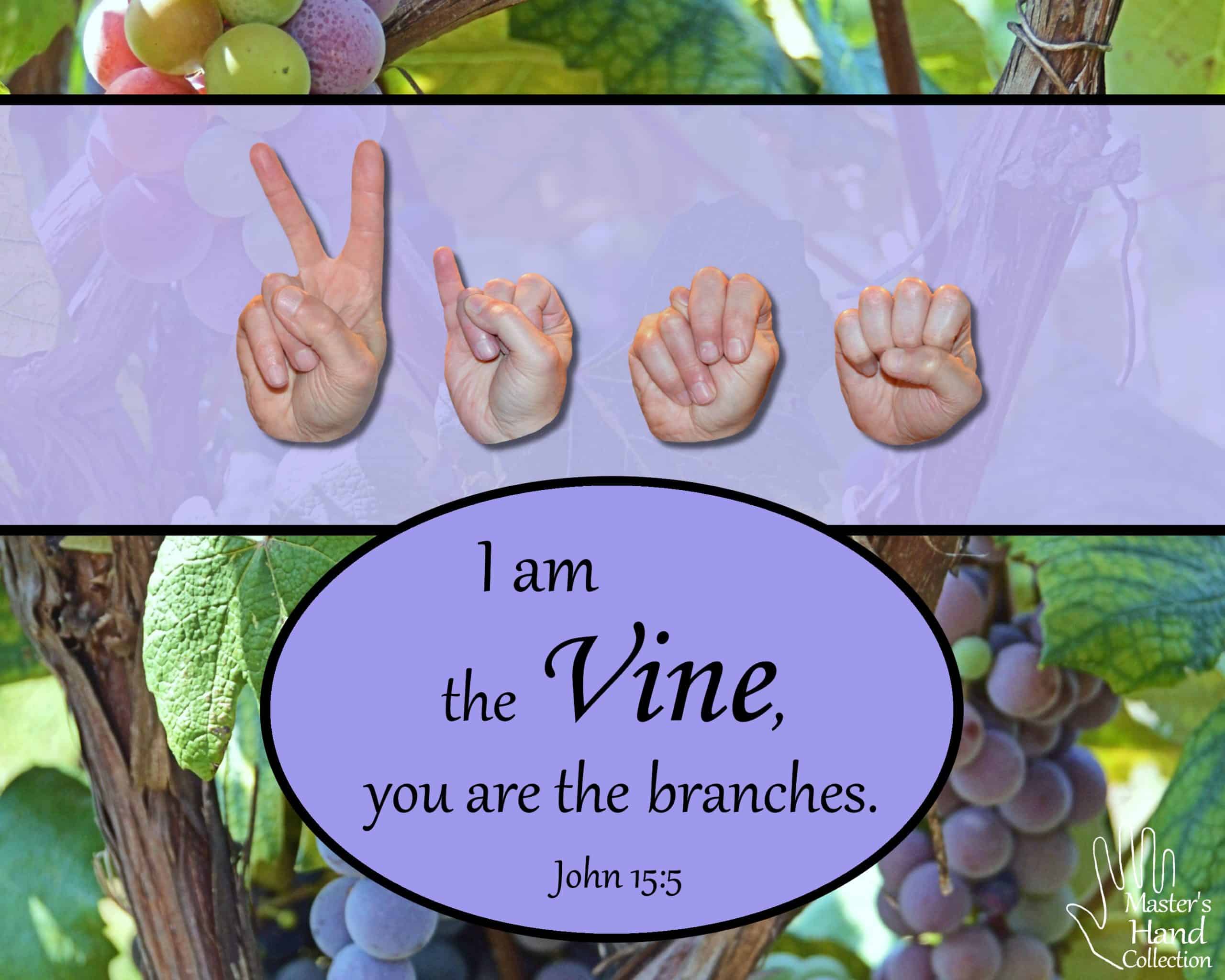 I am the Vine by Master's Hand Collection