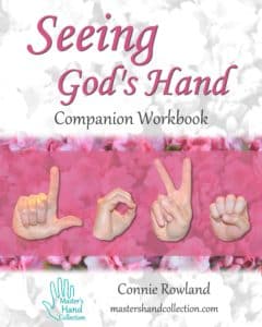 Seeing God's Hand Companion Workbook