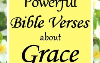 Powerful Bible Verses about Grace