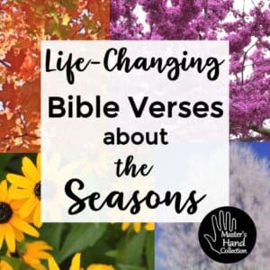 Life-Changing Bible Verses about the Seasons