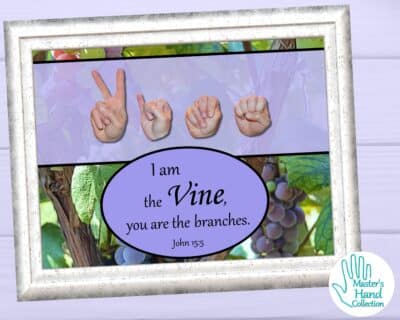 I Am the Vine Bible Verse Art Print