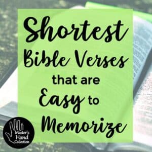 Shortest Bible Verses that are Easy to Memorize