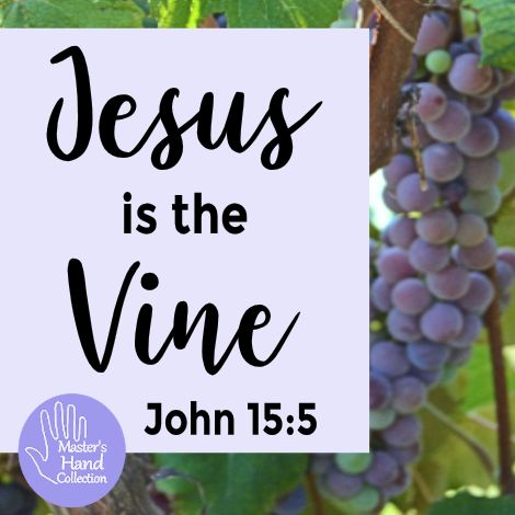 Jesus is the Vine John 15:5 Devotional