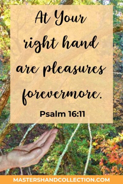 At Your right hand are pleasures forever more. Psalm 16:11