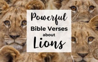 Powerful Bible Verses about Lions