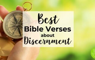 Best Bible Verses about Discernment