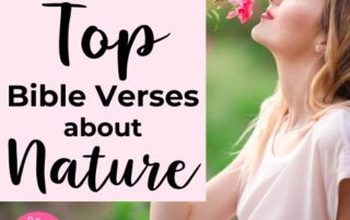 Top Bible Verses about Nature: Exploring God's Beauty