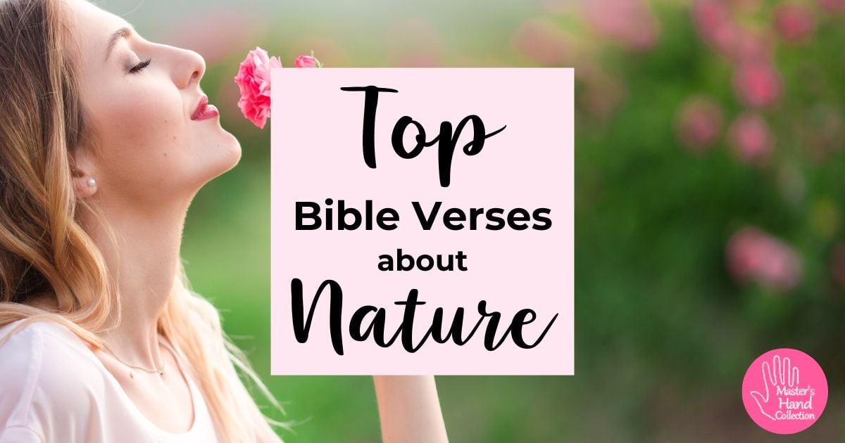 Top Bible Verses about Nature: Exploring God's Beauty