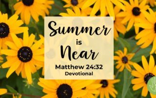 Matthew 24:32 Devotional Summer is Near