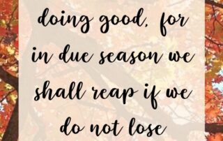 In due season we shall reap Bible Verse Galatians 6:9