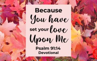 Psalm 91:14 Devotional Because You Have Set Your Love Upon Me