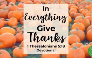 1 Thessalonians 5:18 Devotional In Everything Give Thanks