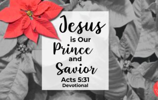 Acts 5:31 Devotional Prince and Savior