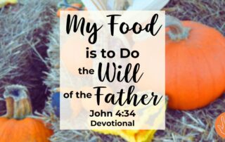 John 4:34 Devotional y Food is to Do the Will of the Father