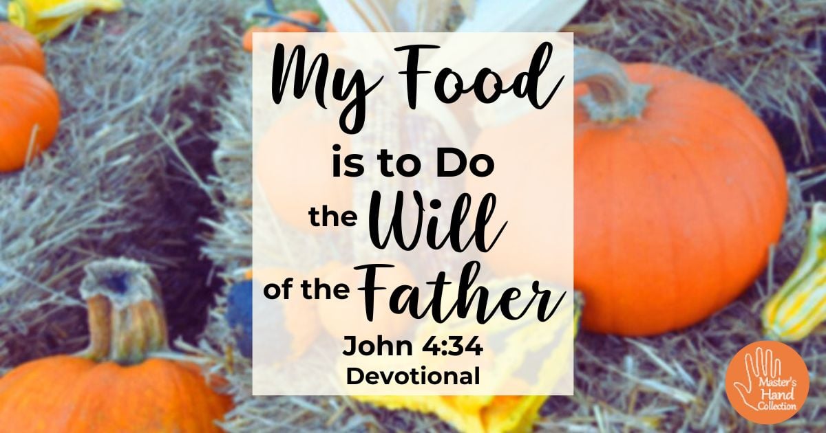 John 4:34 Devotional My Food is to Do the Will of the Father