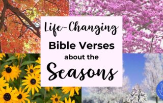 Life-Changing Bible Verses about the Seasons