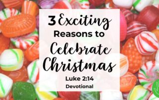 Luke 2:14 Devotional 3 Exciting Reasons to Celebrate Christmas