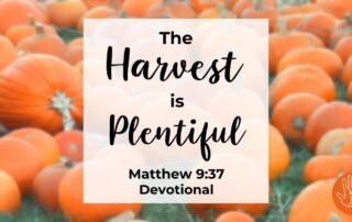 Matthew 9:37 Devotional The Harvest is Plentiful