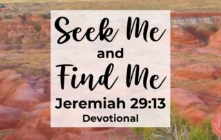 Jeremiah 29:13 Devotional Seek Me and Find Me